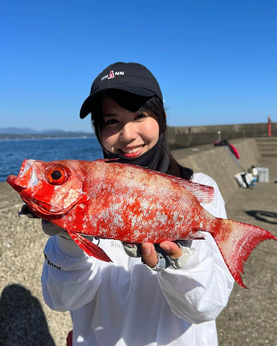 そらなさゆりのインスタグラム：「⁡ ⁡ ⁡ ⁡ ホウセキキントキ釣れた！ ⁡ 他にも釣れて下見はOKだったので、2023年最後のサロン釣行会は海上釣り堀に決定！ ⁡ ご参加お待ちしております✨ ⁡ ⁡ 詳しくはまたサロンに書きます😊 ↓↓↓ https://lounge.dmm.com/detail/6526/ ⁡ 検索【そらなさゆり オンラインサロン】 『釣りと農業研究所』 ⁡ ⁡ 【タックルデータ】 ロッド:ダイワ オーバーゼア911M/MH （バッドをもちに噛まれている） リール:ダイワ セルテートLT3000S CH-DH PE:サンライン インフィニティブ8本組0.8号 ハリス:サンライン ブラックストリーム4号 仕掛け:オークワで買った出来合いのウキ仕掛け ハリ:チヌ針4号 エサ:オキアミ ⁡ エサとりが多かったので途中から3Bのガン玉を針から50cmの所に打ちました。 ⁡ ⁡ ⁡ #釣り #fishing #海上釣り堀 #釣り堀 #ホウセキキントキ #そらなさゆり #sunline #daiwa #hapyson」