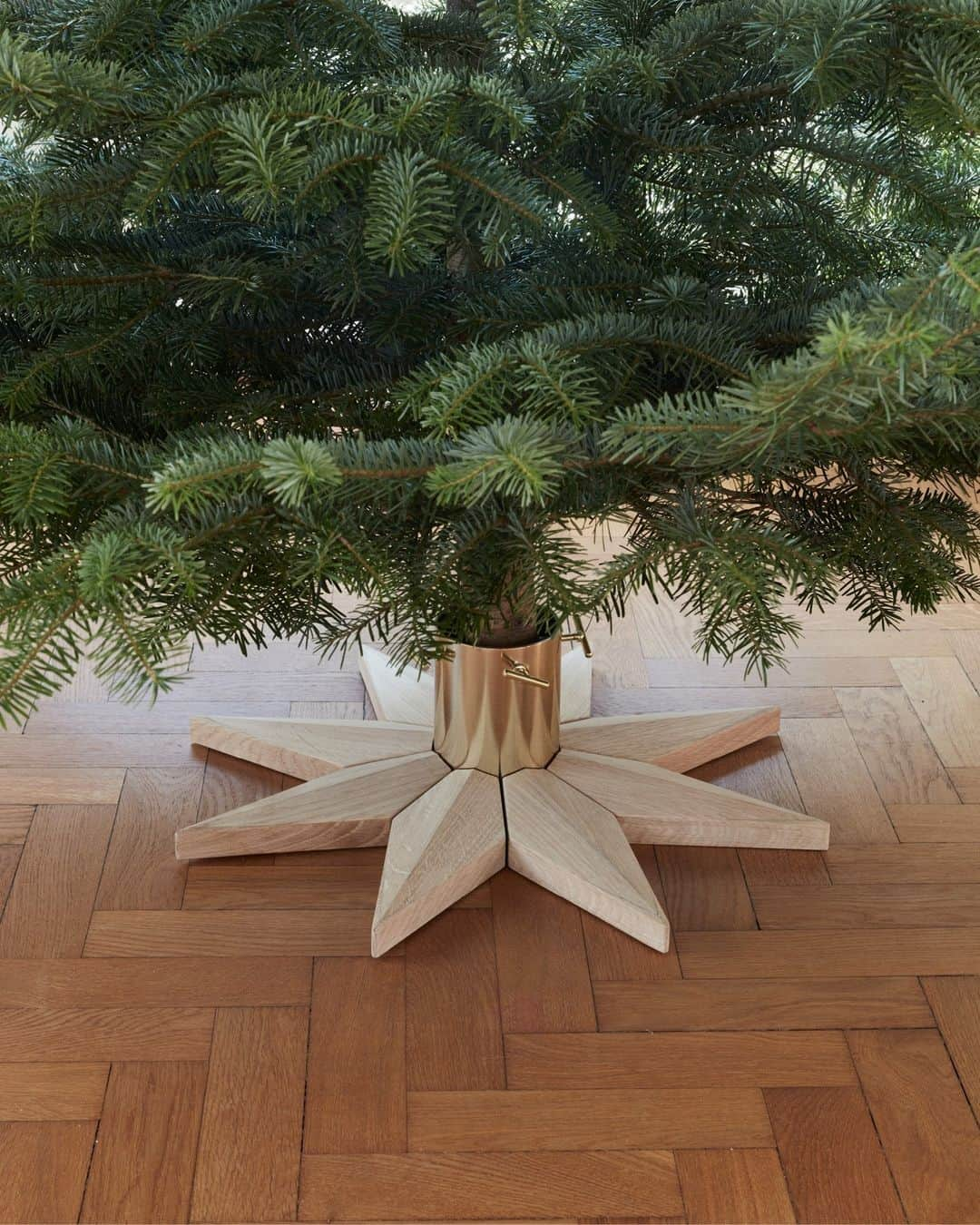 フリッツハンセンのインスタグラム：「Introduce a new tradition to the holiday season with the beautiful and lasting star-shaped Stella Christmas Tree Base.⁠ ⁠  An eight-point star made from FSC™-certified oak and brass holds the tree securely in place. A gilt cup holds water to keep the tree from drying out all season long.⁠ ⁠ Shop the Stella Christmas Tree Base via the link in bio.」