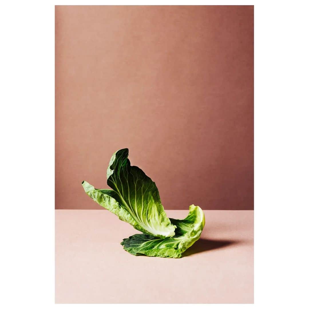 pinimariniのインスタグラム：「Eine Varianz aus Kohl 2/3 .  Foodstyling: @anke.rabeler . . . #kohl #stillleben #foodphotographer #photography #foodfotograf #rezeptfotografie #rezeptinspiration #veggie #vegetarian #dinnerideas #cabbage #herbstrezepte」