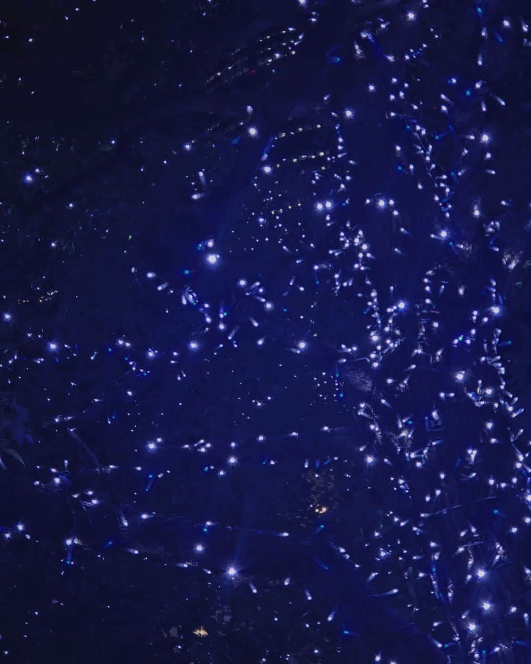 サヘル・ローズのインスタグラム：「人口星と夜」