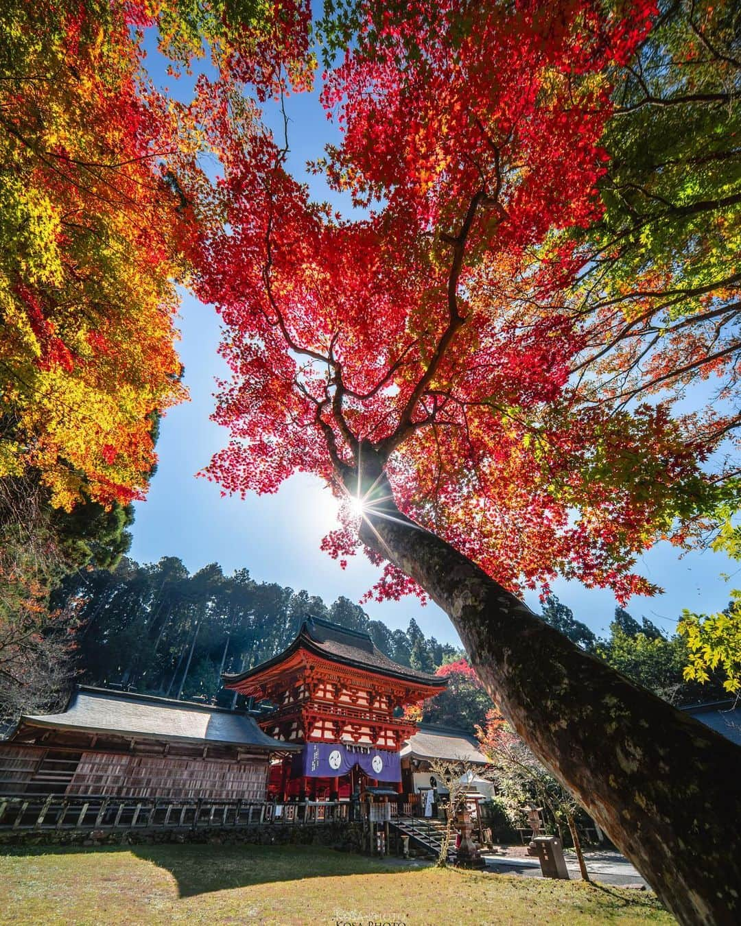 コサさんのインスタグラム写真 - (コサInstagram)「紅葉の時期はフォトグラファーは忙しいですね…😅 現像が永遠に終わることがなさそうなほどRAWが蓄積されてゆく…😇 . Location:和歌山 Wakayama /Japan🇯🇵 Date:2023年11月 Camera:Z9 / LAOWA 9mm F5.6 W-Dreamer . #Japan_Daytime_View #アドビちいさい秋みつけた2023 #tanddフォトコンテスト2023 #discover #Impressive_gallery #beautiful_photo_jpn #japancityblues #visitwakayama #丹生都比売神社 #mf_landscape #invisible_cool_part #laowa9mm #deaf_b_j_ #m_v_shotz #japan_waphoto #japan_best_pic #whim_member #wu_japan #japan_bestpic_ #raw_japan #tokyocameraclub #art_of_japan_ #jgrv_member #team_jp_ #photo_jpn #sorakataphoto #LBJ_KING #bestjapanpics #colore_de_saison #special_spot_legend」11月8日 7時00分 - kosa_photo