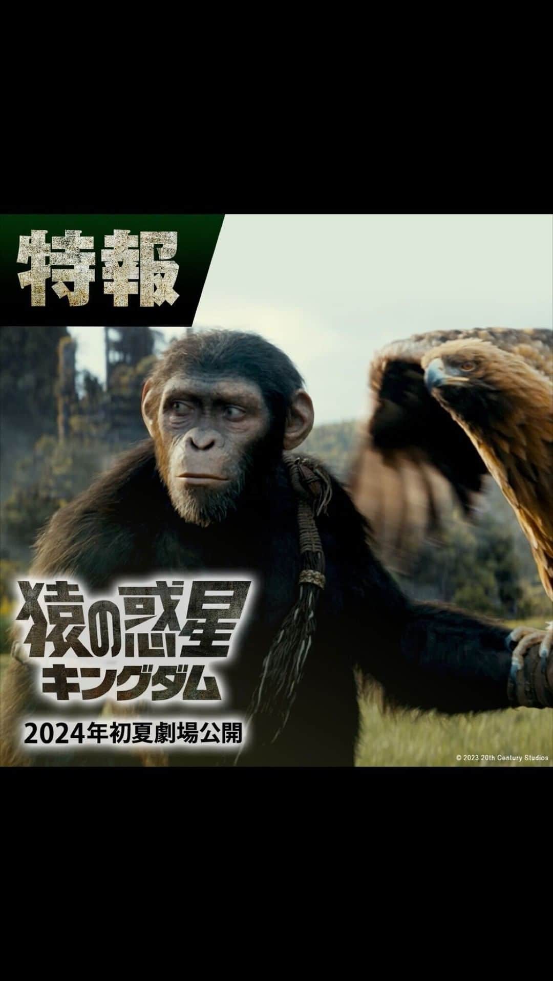20世紀フォックス映画のインスタグラム：「ㅤ ◤『猿の惑星／キングダム』予告解禁◢   ─映画史の神話へ繋がる最新作─  野生化した人類、文明化した猿   地球の支配者の移り変わりを映し出す超大作！   進化は、なぜ彼らを選んだのか❓  半世紀以上の謎に包まれていた  全てが明らかに。   𝟮𝟬𝟮𝟰年 初夏 劇場公開🐵  #猿の惑星 #猿の惑星キングダム #映画 #洋画 #ウェスボール #オーウェンティーグ #フレイヤアーラン」