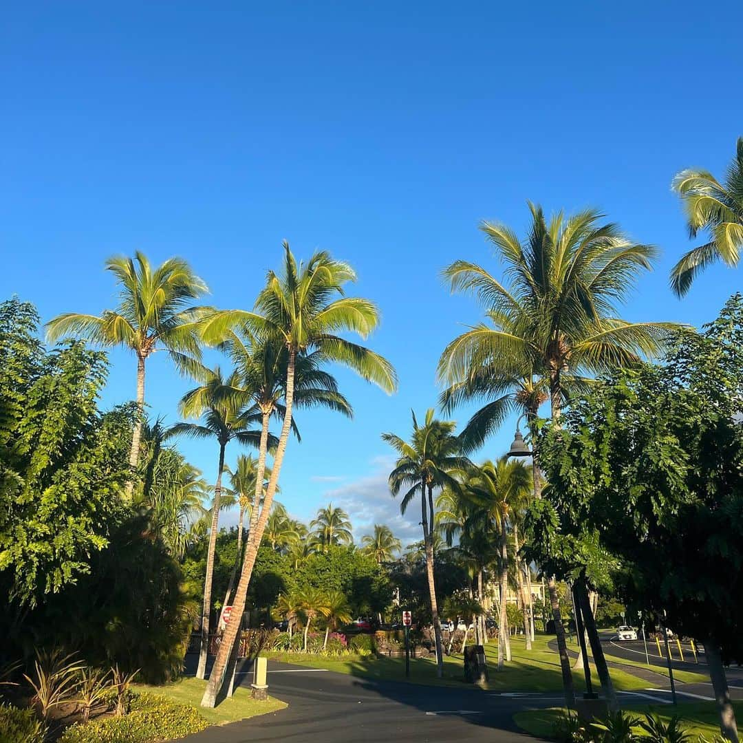 黒木なつみさんのインスタグラム写真 - (黒木なつみInstagram)「4年ぶりのハワイ🌴 オアフ島では従兄弟や仲良しロコfriendsに会えて ハワイ島ではママ友でもあり、昔からお友達で子供たちが同級生ファミリーとまったりハワイ島最高だった🌈  最後にこんなに綺麗な夕陽が見れて大満足🫶🧡」11月8日 20時35分 - natsumi0086