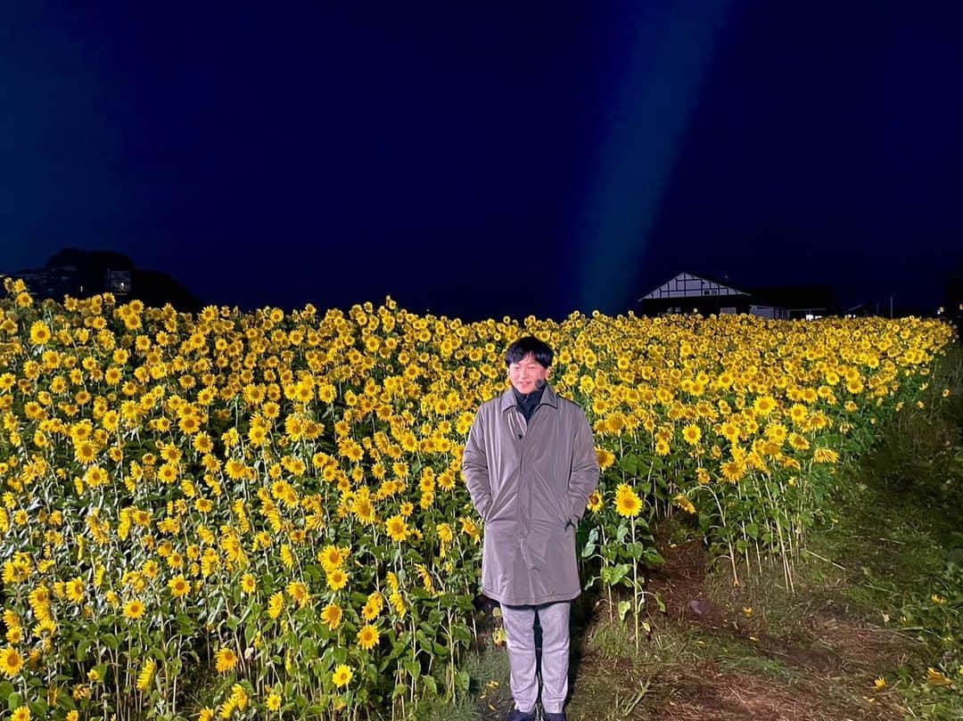 依田司さんのインスタグラム写真 - (依田司Instagram)「11月8日（水） 今日は立冬、暦の上では冬のスタートですが、お邪魔した千葉県佐倉市「マルシェかしま」では、夏の花「ひまわり」が満開となっています。200m続く花畑は壮観。 こちらでは、他のひまわり畑との競合を避けるため、毎年8月にタネを撒き、10月中旬に見頃を迎えるそうですが、今年は記録的残暑もあって大幅に遅れたそう。しかも、この残暑ですくすく育ち、去年より背丈が1.5倍も伸びました。見頃は今週いっぱい。 マルシェかしまさんでは、お米の販売や米粉を使ったスイーツも。シフォンはフワフワもちもち食感と優しい甘さが絶品でした。  #マルシェかしま #冬のひまわり畑#BANANAREPUBLIC #バナリパ #依田さん #依田司 #お天気検定 #テレビ朝日 #グッドモーニング #気象予報士 #お天気キャスター #森林インストラクター #グリーンセイバーアドバンス #プロジェクトワイルド #IPCC伝導者 #japan #japantrip #japantravel #unknownjapan #japanAdventure #japanlife #lifeinjapan #instagramjapan #instajapan #療癒 #ilovejapan #weather #weathercaster #weatherforecast」11月8日 8時36分 - tsukasa_yoda