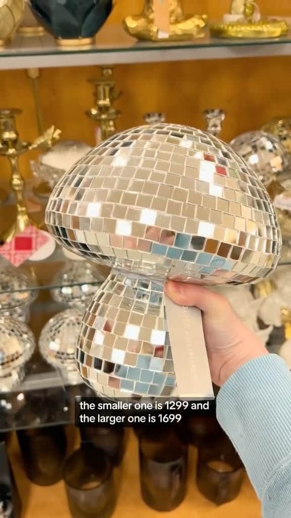 のインスタグラム：「disco mushroom > disco ball 🪩✨ (📸: @brookieeeeee5)」