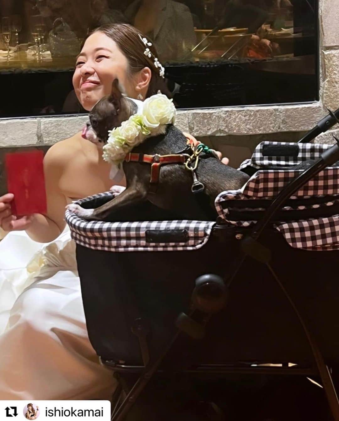 川上奈々美さんのインスタグラム写真 - (川上奈々美Instagram)「無事11月4日に結婚式を挙げる事が出来ました🎊  うちのベビは眠くて一緒に写真撮れなかった🤣  けして大きな規模では無かったけどこうやって家族の前で結婚式を挙げられて本当に良かった❤️🥺🙏  みんなありがとう💓💓💓  幸せな時間だった✨  まいぷインスタあげてくれてありがと😘  #Repost @ishiokamai with @use.repost ・・・ だいすきなみぃななの結婚パーティ💍✨  みぃなな本当きれいだったよぉおおお😭💓 幸せおすそわけありがとう😍  梅子🐕もきれいだったよ😎  本当におめでとう♡♡」11月8日 9時24分 - nanamikawakami