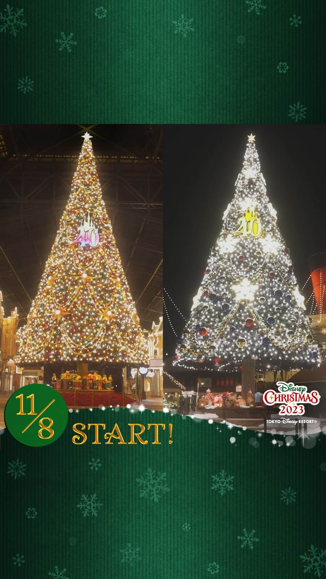 東京ディズニーリゾートのインスタグラム：「⁡ 「 #ディズニークリスマス 」いよいよ本日スタート！🌟  東京ディズニーランドと東京ディズニーシーのクリスマスツリーに光が灯る瞬間をお届けします🎄✨  ファンタジックでロマンティックな「ディズニー・クリスマス」で心あたたまる素敵なひとときを✨ ⁡ #東京ディズニーリゾート40周年 #東京ディズニーリゾート #東京ディズニーランド #東京ディズニーシー  #disneychristmas #tokyodisneyresort #tokyodisneyland #tokyodisneysea」