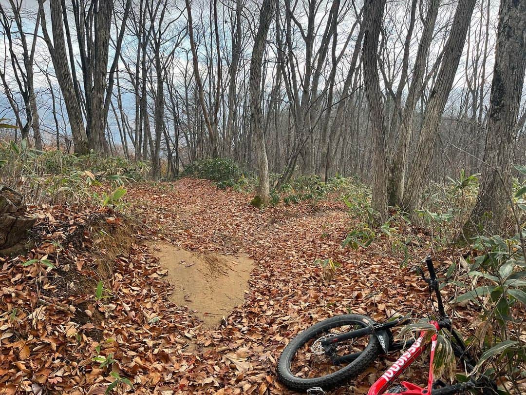 白馬岩岳スノーフィールドのインスタグラム：「11/8(水) おはようございます。 お待たせしました。 只今よりMTBパークをオープン致します。 昨日の大風により、コース上には落ち葉が大量に降り積り、極上の落ち葉ライドとなっております😚 ですが、岩や根っこが隠れている箇所もございますので、不意にハンドルを取られない様にお気をつけ下さい。  岩岳MTBパークオープン状況 天気: ⛅️  スキルアップエリア (初級者) オープン コンディション: セミドライ  岩岳の森クロスカントリー(中級者) オープン コンディション: セミウェット  マウンテンサイクリングコース(初級) ゴンドラ建設の為、今季クローズ  ヒトトキダウンヒル (初級)　※9:00～15:30 オープン コンディション: セミドライ  アルプスDH(初級～中級) オープン コンディション: セミドライ  カミカゼDH(上級) オープン コンディション: セミドライ トップガン⑨-⑩ゴンドラ工事によりクローズ  Iwatake MTB Park Condition & Status Weather: ⛅️  Skill-up Area (Beginner) Open CONDITION: Semi-Dry  Iwatake Cross-country (Intermediate) Open CONDITION: Semi-Wet  Mountain Cycling Course (Beginner) Full season closed, due to under construction of new gondola.  Hitotoki DH (Beginner)　※9:00～15:30 Open CONDITION: Semi-Dry  Alps DH (Beginner-Intermediate) Open CONDITION: Semi-Dry  Kamikaze DH (Expert/Advanced) Open CONDITION: Semi-Dry Top gun⑨-⑩. Closed, due to new gondola construction.  詳しくは https://iwatake-mountain-resort.com/green  #iwatakemtb」
