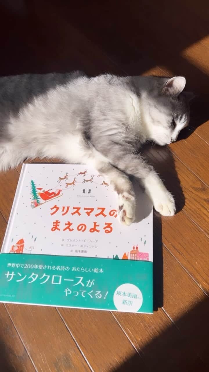 坂本美雨のインスタグラム：「✨Sound On✨  古くから伝わる名作絵本「クリスマスのまえのよる」を新訳しました🎄  絵がとっても可愛くていきいきしています。 言葉も、オリジナルの英語はたくさん韻を踏んでいて声に出して読むのが楽しいので、日本語でも子どもたちが読みやすいように、また躍動感が伝わるようにと、訳しました。  今、本屋さんに並んでいます。 サイン本も200冊作ったので手に取ってもらえたらうれしいです❤︎ （サイン本を置いてくださってる本屋さんは @anonimastudio でご確認ください✨）←ストーリーズに上げました！   #クリスマスのまえのよる  詩：クレメント・C・ムーア 絵：ミスター・ボディントン 訳：坂本美雨 出版：アノニマ・スタジオ @anonimastudio  . . music: "Luminous for Electric Xmas" - 坂本美雨with関口シンゴ . . #cat #サバ美 #サバムービー #坂本美雨」