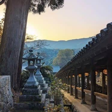 奈良 長谷寺 / nara hasederaさんのインスタグラム写真 - (奈良 長谷寺 / nara hasederaInstagram)「#小春 の日和、秋の装い #十月桜 #山茶花 #菊回廊 #寒牡丹 #花水木   The weather is nice, around the beginning of autumn. #Cherry blossoms and #peonies are blooming.  #長谷寺 #奈良長谷寺 #総本山長谷寺 #真言宗豊山派 #花の御寺 #奈良 #hasedera #hasederatemple #temple #japan #japanesetraditional #pilgrimage #nara #tourism #japanesetemple #西国三十三所 #巡礼 #四寺巡礼 #長谷寺が好き #日本遺産 #観音さんさんサイコク巡礼 #千年巡礼」11月2日 11時44分 - hase_dera