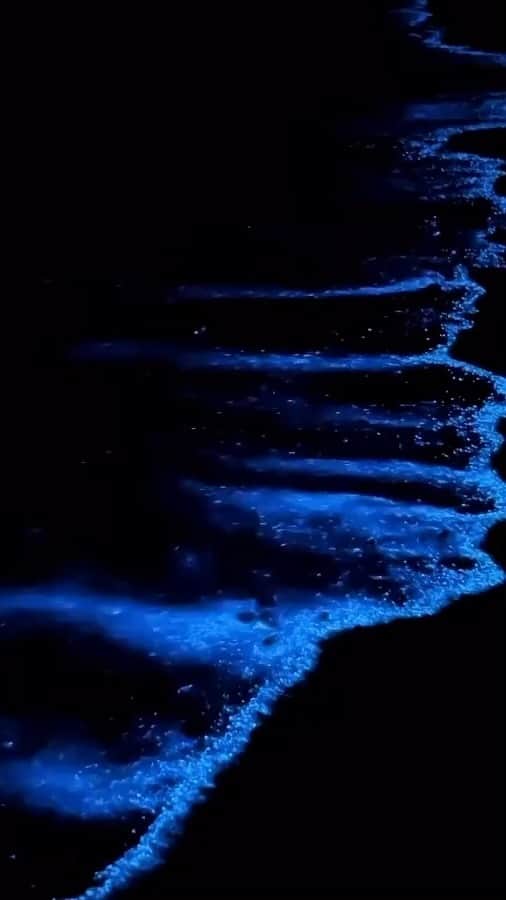 パット・マグラスのインスタグラム：「OUTER LIMITS OPULENCE 🔷💙🔷 @vacations 🔷💙🔷 #patmcgrathlabs #inspiration」