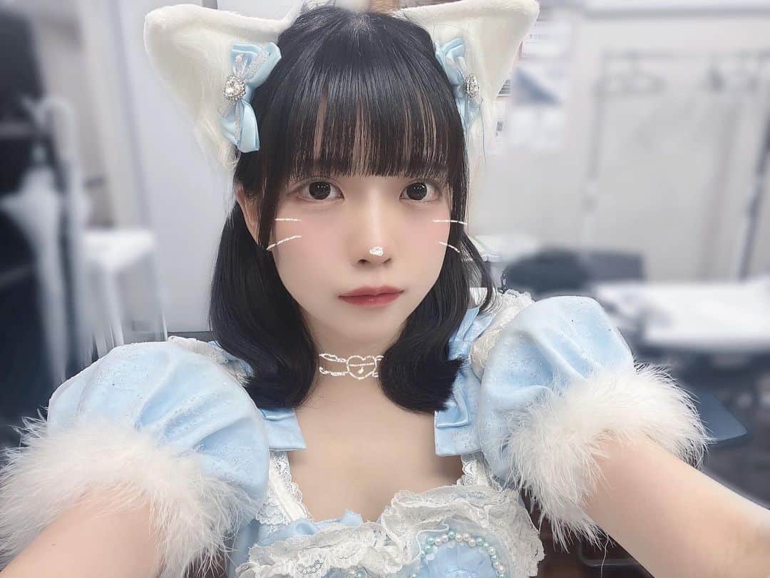 みぽたぽたのインスタグラム：「みぽにゃん、拾ってもいいにゃ🐈🐾  #猫 #selfie」