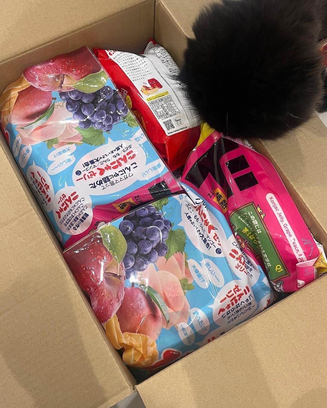 ギモさんのインスタグラム写真 - (ギモInstagram)「욕망의 직구ㅋㅋ 돈키호테 간식들 질러봤습니다. 후우.....이것도 많이 참은 것..!😇  곤약젤리는 여동생 한봉다리 주고 나머진 냉장고에 시원하게 해뒀다가 재택근무로 당떨어질때 한번에 열댓개씩 호로록 할겁니더ㅋㅋㅋ 여행가서 많이 사오면 좋은데 나이드니까 넘 무겁고 힘들어서 이렇게 온라인으로 시키는 게 체력적으로도 나은것 같더라고요.👵🏻  마지막 사진.. 즘장님 옆에서 깐죽거리다가 혼나는 털보ㅋㅋㅋㅋㅋㅋㅋㅋㅋㅋㅋㅋㅋ 등치차이 거의 2배급인데 꾬짝 모다는 우리 쫘매 어쩌믄 좋지요?ㅋㅋㅋ  #cat #토토상회 #고고동키 #내돈내산 #짤없는즘장님」11月8日 11時31分 - 1room1cat