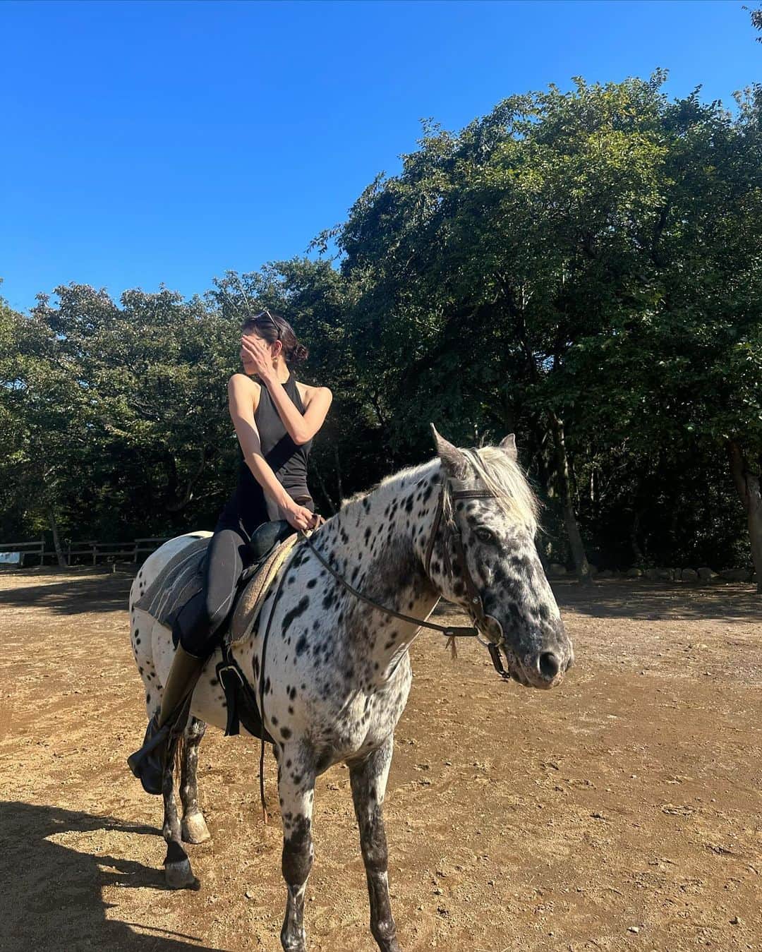 森星さんのインスタグラム写真 - (森星Instagram)「『暮らすように旅をする』古民家再生にあたり、日本各地の風土と建築を学ぶべく、@airbnb とのプロジェクトが始まりました。第一弾は、ドッグフレンドリーな自然豊かな伊豆の建築に宿泊。馬と対話しながら、山を散策して、深呼吸。  Got to explore the tranquil countryside of Japan with @airbnb, thank you for the wonderful stay and looking forward to our upcoming collaboration 🦋」11月8日 11時26分 - hikari