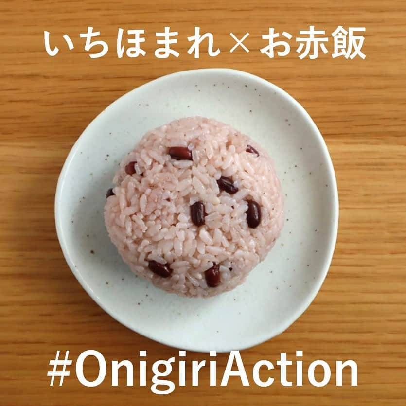 井村屋株式会社さんのインスタグラム写真 - (井村屋株式会社Instagram)「いちほまれで #OnigiriAction 🍙  こんにちは、井村屋の「なー」です😊  おにぎりアクションに協賛している、 福井県のブランド米 #いちほまれ （ @ichihomare ） をいただいたので 井村屋の #お赤飯の素 を使ってお赤飯を炊きました！  「いちほまれ」という名前には 「日本一（いち）おいしい、誉れ（ほまれ）高きお米」 という想いが込められているそうです✨  「粘り、柔らかさ、米粒感、甘み」 のバランスが優れたお米で、 おいしいお赤飯が炊けました😋  ーーーーーーーーーー  🍙おにぎりアクションとは？🍙 おにぎりにまつわる写真に、#OnigiriAction を付けSNS(※1)に投稿、またはおにぎりアクションの特設サイトに投稿すると、協賛企業が寄付を行い主催のTFT(※2)を通じて、1枚の写真投稿につき給食5食分がアフリカ・アジアの子どもたちにプレゼントされる仕組みです。 (※1)Facebook, Instagram, X (※2)TFT：特定非営利活動法人TABLE FOR TWO International  🍙開催期間 2023年10月4日(水)～11月17日(金)  🍙もし「お赤飯の素」などの井村屋商品を使用しておにぎりを作った際は、ぜひ #OnigiriAction と一緒に #井村屋とおにぎりアクション のハッシュタグをつけて教えてください♪ ※ #井村屋とおにぎりアクション は必須のタグではございません。  🍙井村屋グループはおにぎりアクションに 協賛企業の一つとして参加しています。  #PR #井村屋 #imuraya #公式 #おにぎりアクション #OnigiriAction #協賛企業 #お赤飯の素 #井村屋お赤飯の素 #いちほまれおにぎり2023」11月8日 11時48分 - imuraya_dm