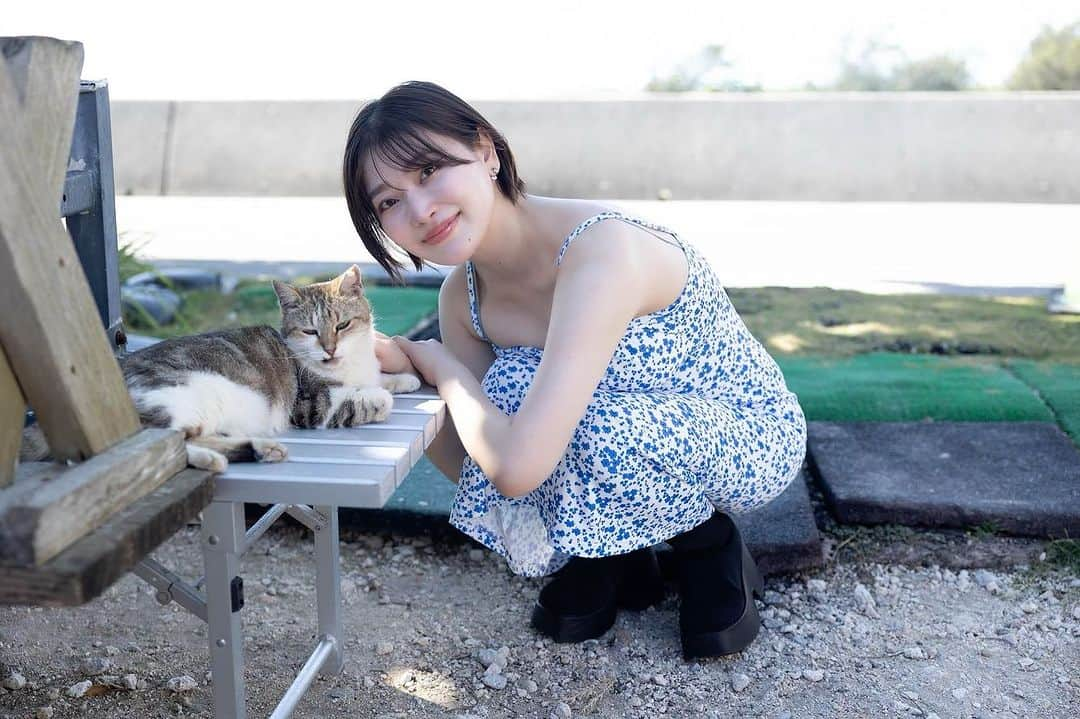 悠木ゆうかさんのインスタグラム写真 - (悠木ゆうかInstagram)「「かっこいいおくちだね🐈🤍」  と口説いています。  #沖縄 #猫島 #奥武島 #島ねこ」11月8日 12時13分 - yuki_yuuka_6666