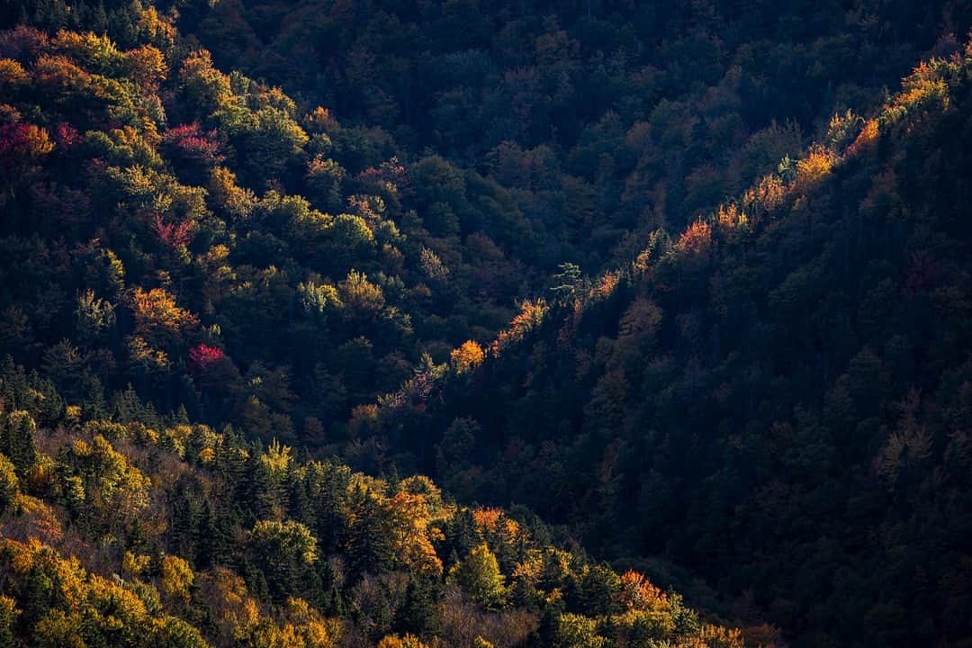 National Geographic Travelのインスタグラム：「Photo by Kahli Hindmarsh @kahliaprilphoto | The spectacular colors of fall paint the landscape at this time of year in eastern Canada. Every season can vary in vibrancy depending on the elements the trees have endured that year.   Follow me @kahliaprilphoto for more breathtaking landscapes from around the world.」