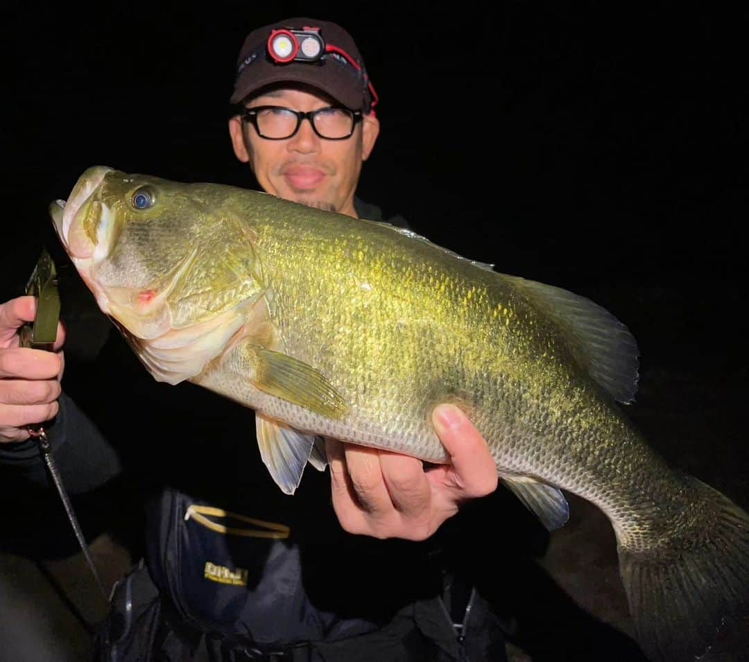 武蔵さんのインスタグラム写真 - (武蔵Instagram)「🎣  ブラックバスに遊んでもらった日。  それにしても日が落ちるのが早くなったな〜。  #武蔵 #ブラックバス #釣り #fishing  #fishingrod  #blackbass」11月8日 12時43分 - musashi_k1karate