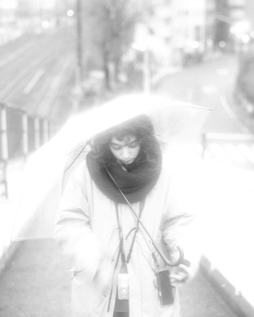 蒼葉えるさんのインスタグラム写真 - (蒼葉えるInstagram)「いつかの散歩  P @naohiromatsumoto_nmnm」11月8日 13時19分 - l_aoba