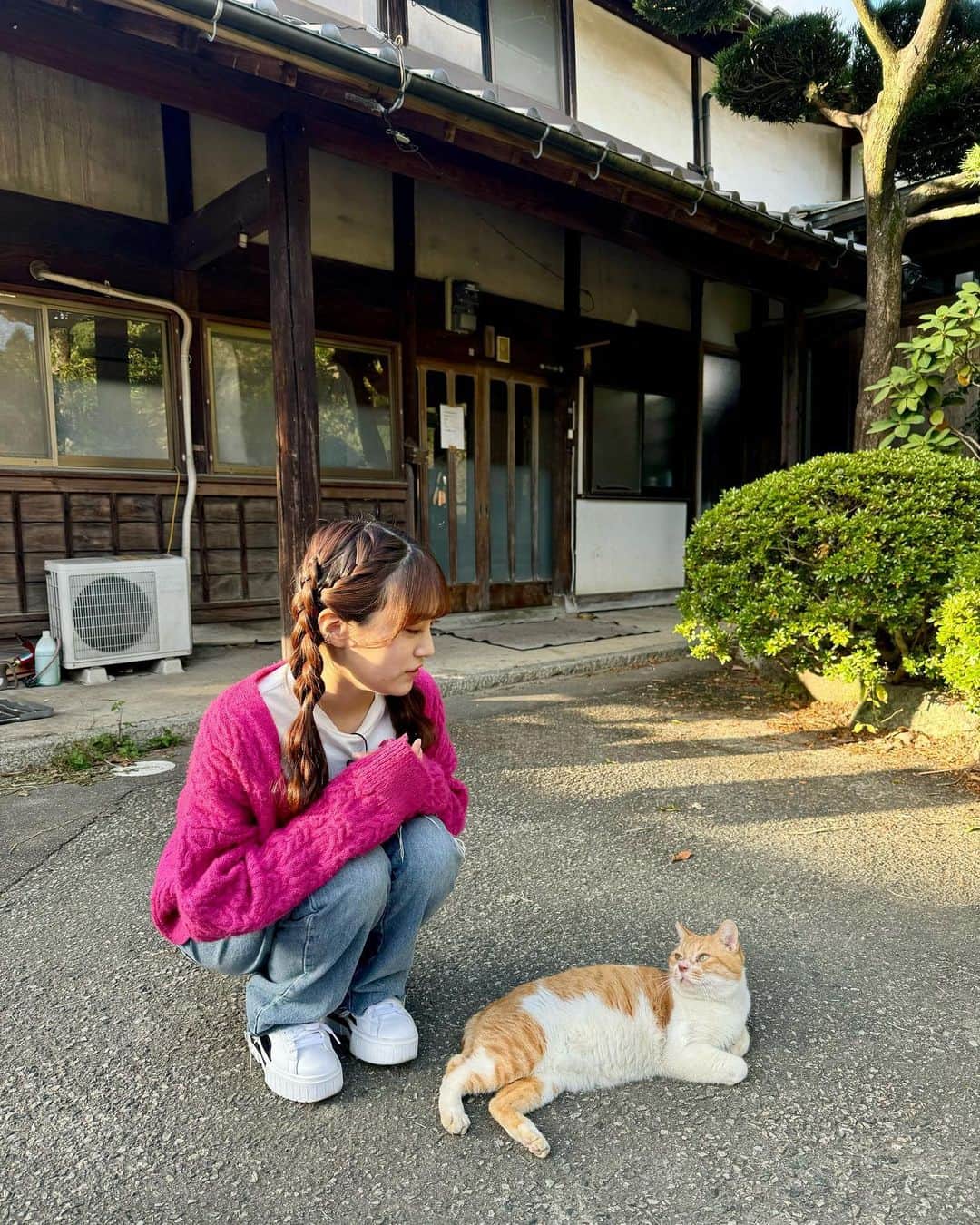 坂本 愛玲菜のインスタグラム：「この子、私のこと好きみたい🐈」