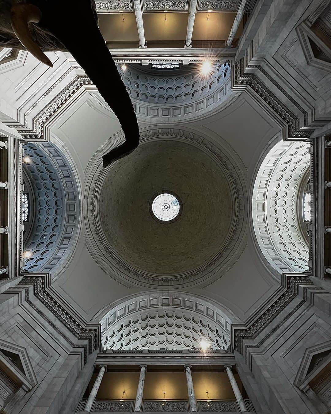 Duncanさんのインスタグラム写真 - (DuncanInstagram)「療癒的對稱 . soothing symmetry . #symmetry #center #soothing #duncan #2023 #life #travel #duncandesign」11月8日 23時09分 - duncan_design