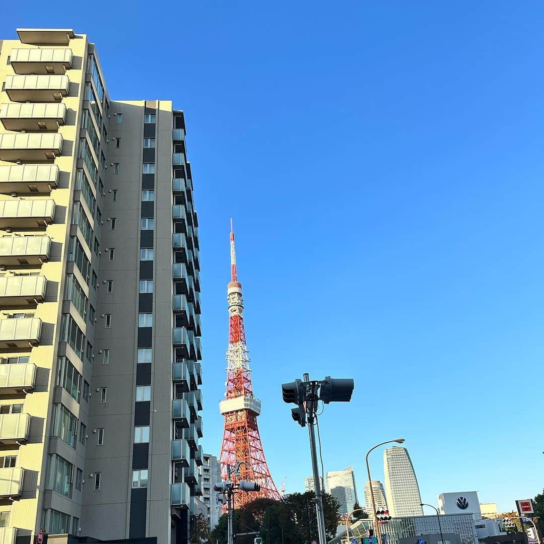 中澤瞳さんのインスタグラム写真 - (中澤瞳Instagram)「初めてのフルーツカプレーゼ🍇🧀  東京に住んで6年目になるけど 東京タワー見つけると写真撮るの🗼 このよく掛けてる伊達メガネ、 レンズあると酔っちゃうからレンズ抜いてかけてるの  初めてに出会ったり 自分の中の習慣、ルールがあったり いろんな経験、物事に出会うのって楽しいな〜」11月8日 23時19分 - hitomi.nakazawa