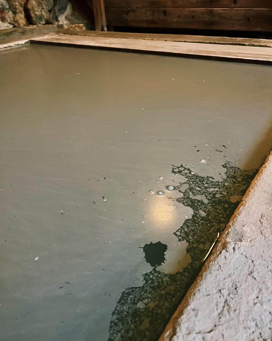 茜さやさんのインスタグラム写真 - (茜さやInstagram)「♨️温泉が気持ちいい季節♨️  この前行ったおすすめの温泉！ 塩原温泉にある秘湯の宿『元泉館』さん  ３つの異なる源泉があって、お湯はその日によって 様々な色に見えます✨  今回は邯鄲の湯に入ったけれど秘密基地みたいでワクワク！ 岩がむき出しで1人瞑想ができそうな空間でした…！  温泉成分の膜がバリバリにはっていて見た目からも最高！ 入ると腕や足につくくらいの濃厚さ🤤💕  見た目、匂い、成分等強くて濃い！ 温泉が大好きなのでたまらなかった🥰  さらに！ このお宿には保護猫ちゃんがフロントに沢山！ この日はチュールをあげさせていただきました🐈🐈‍⬛  本当に可愛かった〜☺️💕 癒される…！  最後に身体にいいので温泉飲んでみましたが（飲める温泉） 最後の表情通り美味しくは…なかったよ！笑  いい薬は苦いって言うし是非一度試してみてね🍵笑  《日帰り入浴》 8:00〜20:00の間の2時間 1人　800円（HPに嬉しい割引あり✨）  ※日帰り入浴でご利用可能な浴場は 高尾の湯大浴場と渓流露天風呂のみ♨️ （うちが入ったのは宿泊用の邯鄲の湯）  ランチもやられているみたいです🍽  #塩原温泉 #元泉館 #温泉　#栃木県　#栃木県観光 #塩原温泉 #猫のいる宿  #保護猫　#onsen #hotspring #hotsprings #tochigi」11月8日 23時13分 - saya.akane