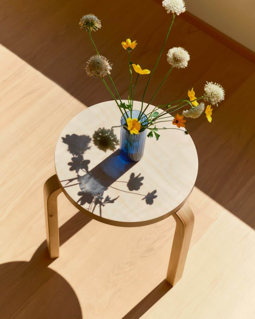 Artekのインスタグラム：「Encouraging a wider, wilder and more responsible use of Finnish birch, Stool 60 Villi, designed in collaboration with Formafantasma, features natural markings such as wood knots and the trails left by colonising insects, highlighting the impact of climate change and industrialisation of the forest.⁠ ⁠ Pick up a Stool 60 Villi for your home in our link in bio.」