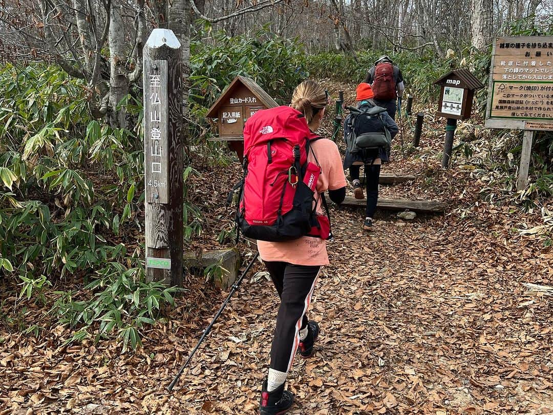 REIKAさんのインスタグラム写真 - (REIKAInstagram)「⛰⛰⛰ 『幸せ』 ⛰⛰⛰ とは 他人が決めるものではなく 他人と比べて決めるものでもなく 自分自身にしか決められないものなので あなたがどんな境遇であれ あなたが幸せだと思えば幸せです  と、思って生きてます🏔  だから、幸せになりたいって思ってるうちは、幸せになんかなれないんだぜってゆーのを経験から学習してきました（笑）  ないものばかりを数えていては、いつまでたっても満たされない。  今あるものに目を向けてみれば、今こうして生きてること、大切な人達と笑い合えてること、ご飯が食べれること、身体が動いて踊れること、山に登れること、、、人それぞれに 多くのものを既に持っている。  そこに気づいた時、 感謝の気持ちが湧き出ます。  今こうして生きている奇跡に感謝し、一人の人間として成長し続けたいです。  山は私に色んな事を教えてくれます。 ⛰🙏✨  今年は各地で熊が頻繁に挨拶しにきているらしいので、 山民の皆様、山に呼ばれた際は お互いに十分に気をつけましょうね。🐻  そこに？ #山があーる #山ガール #😘  #登山女子  #手ぬぐいーず  #復活しました」11月8日 16時52分 - reika_bra