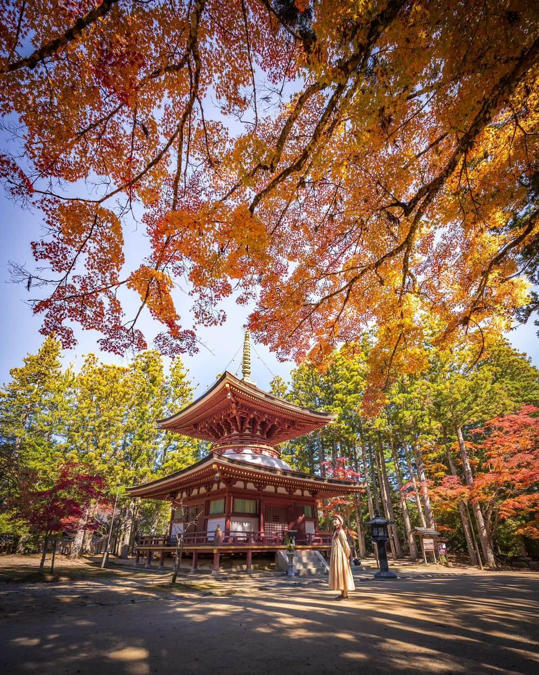 和みわかやまのインスタグラム：「. 高野山では、他の場所より少し早く紅葉の見頃を迎えます🍂写真は、11/1の様子です。先日の雨で少し葉が落ちてしまったようです😢  📷：@a_k_gram72 📍：高野山エリア 高野町  和歌山の写真に #nagomi_wakayama のハッシュタグをつけて投稿いただくと、その中から素敵な写真をリポストします😉 . . . #和歌山 #和歌山観光 #和歌山旅行 #わかやま #和みわかやま #wakayama #wakayamajapan #wakayamatrip #wakayamatravel #nagomi_wakayama #wakayamagram #高野山 #空海 #紅葉 #弘法大師 #壇上伽藍 #shrine #temple #autmnleaves #mtkoya #旅行 #国内旅行 #旅行好きな人と繋がりたい #観光 #travel #trip #travelgram #japan #travelphotography」