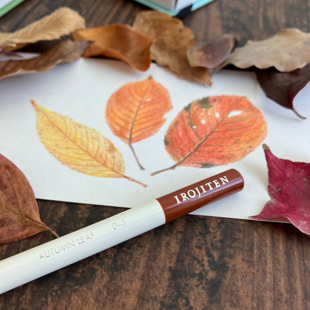 トンボ鉛筆さんのインスタグラム写真 - (トンボ鉛筆Instagram)「#IROJITENめくり ～きっと探していた色がある。100色の色鉛筆～  落ち葉が風に舞う様子を見かけるようになってきましたね🍂 今回は、全100色の色辞典から「枯葉色」をピックアップ✏  季節ごとの自然を感じる色名を探すのも、色辞典の楽しみかたの一つです😊  --- 色辞典 第1集　 vol.3 deep tone Ⅰ D-3〔 AUTUMN LEAF ‐枯葉色‐〕 秋の色づいた木の葉のような色。 あたたかな印象の黄みがかったブラウン。  #tombow #トンボ鉛筆 #tombowpencil #文具 #文房具 #ぶんぼうぐ #文房具好き #文具好き #文房具好きな人と繋がりたい #文具好きさんと繋がりたい #stationery #stationerylove #stationeryaddict #色鉛筆 #色辞典 #irojiten #手描きイラスト #秋 #落ち葉」11月8日 17時02分 - tombowpencil
