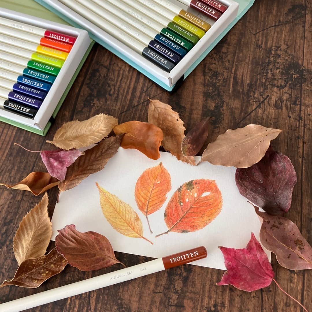 トンボ鉛筆のインスタグラム：「#IROJITENめくり ～きっと探していた色がある。100色の色鉛筆～  落ち葉が風に舞う様子を見かけるようになってきましたね🍂 今回は、全100色の色辞典から「枯葉色」をピックアップ✏  季節ごとの自然を感じる色名を探すのも、色辞典の楽しみかたの一つです😊  --- 色辞典 第1集　 vol.3 deep tone Ⅰ D-3〔 AUTUMN LEAF ‐枯葉色‐〕 秋の色づいた木の葉のような色。 あたたかな印象の黄みがかったブラウン。  #tombow #トンボ鉛筆 #tombowpencil #文具 #文房具 #ぶんぼうぐ #文房具好き #文具好き #文房具好きな人と繋がりたい #文具好きさんと繋がりたい #stationery #stationerylove #stationeryaddict #色鉛筆 #色辞典 #irojiten #手描きイラスト #秋 #落ち葉」