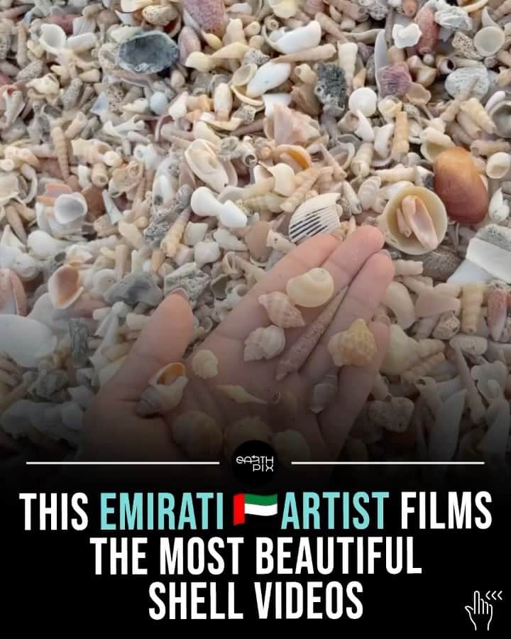Earth Picsのインスタグラム：「Emirati artist Aysha @3yshart films the most beautiful shell videos on the beach, showcasing the stunning contrast of colors from shells that wash up onshore.」