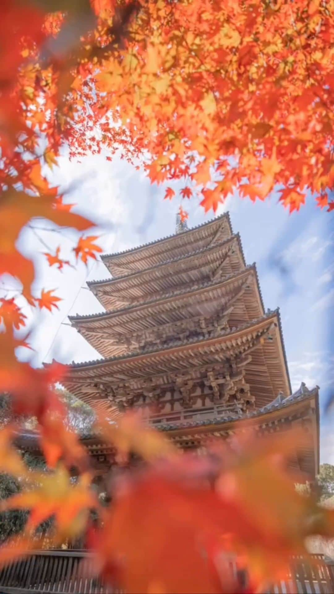 JALのインスタグラム：「. 美しい秋色に染まる🍁  京都・ #醍醐寺 #WorldlyNovember . . Video by @jin.photo_99 Post your memories with #FlyJAL  #JapanAirlines #JAL #travel #紅葉 #紅葉スポット #世界遺産 #京都 #京都旅行 #もみじ #秋 #秋の風景 #五重塔 #旅 #絶景 #絶景スポット #日本 #日本の絶景 #日本の風景 #国内旅行 #旅行 #日本航空」