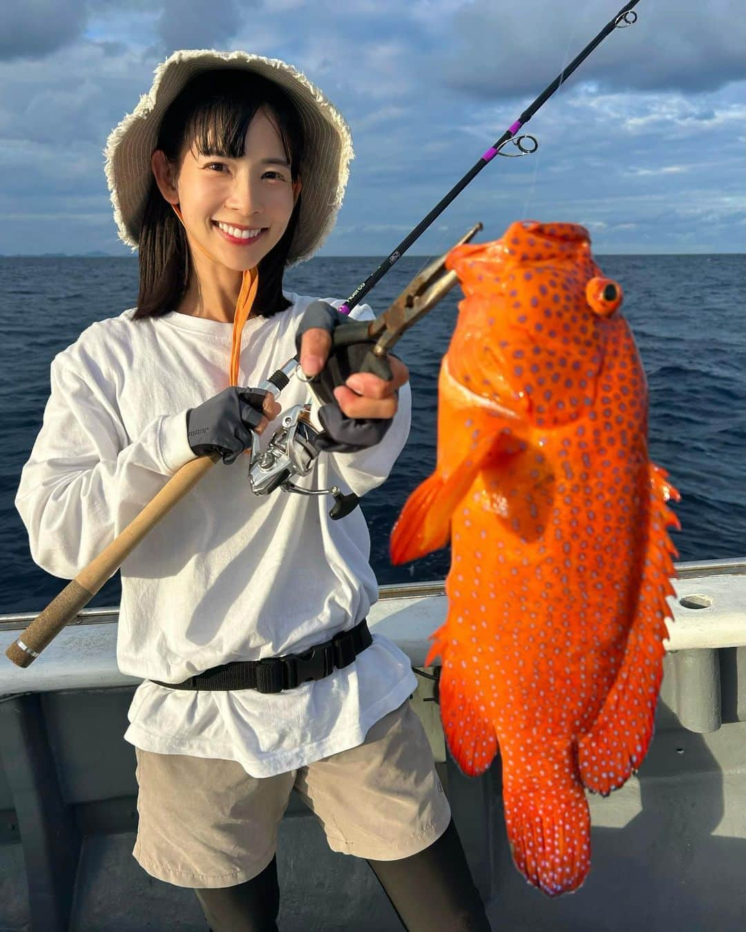 阪本智子さんのインスタグラム写真 - (阪本智子Instagram)「🎣♡  沖縄では久しぶりに  【ユカタハタ】も釣りました！✨️ 赤い魚はやっぱりテンションあがる😍🩷  一つテンヤにシバエビをつけて海底までおろし、 ふわっとさそってゆっくり落としたり、ストンと落としたり、 さそってからその場で止めてみたり、、  いつ来るかわからないドキドキ感が最高！  このユカタハタは、さそってからゆーっくり底まで下ろしている時に食ってきました♪  食った瞬間のつっこみにもバッチリ対応出来る peachロッドめっちゃ良い感じでした👍  飛行機で沖縄に到着してからの釣りだったので、 かなり短時間でなおかつ海の状況が悪い中💦  釣果を出させてくださった 【遊漁船バディー3】のもりもり船長⛴️ ありがとうございました🥹🙏🏻  我が子達、初めましてなのに懐きすぎじゃない？笑   @flypeach @huercojp   #flypeach #釣り旅 #huerco #フエルコ #阪本智子」11月8日 17時35分 - tomoko_sakamoto423