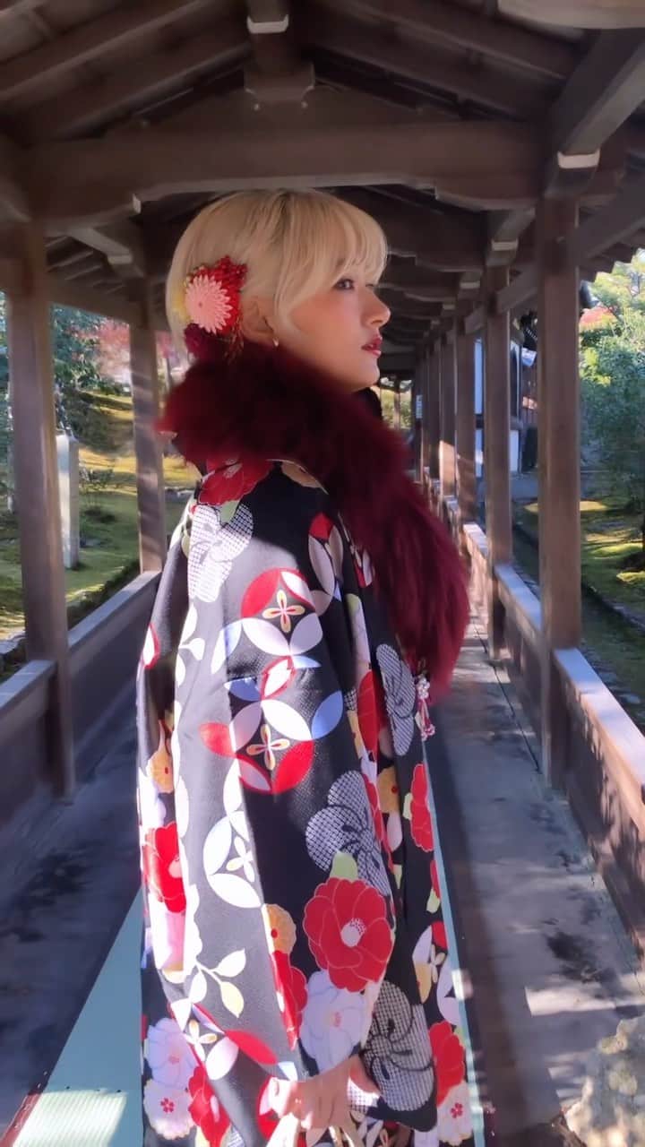 中川友里のインスタグラム：「shall we go to Kyoto this autumn?🍁✨  #kyoto #travel #autumn #kimono」