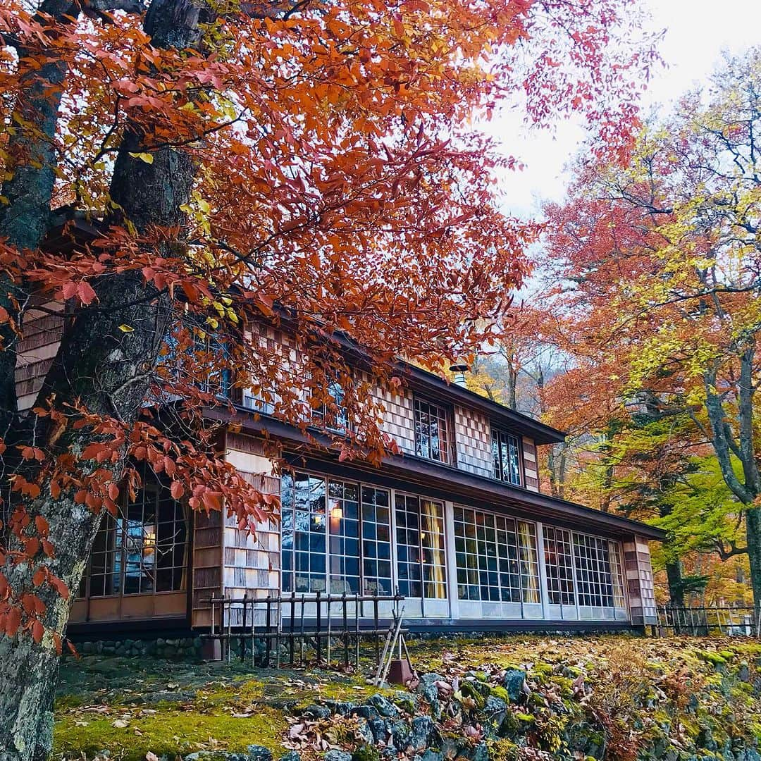 TOBU RAILWAY（東武鉄道）さんのインスタグラム写真 - (TOBU RAILWAY（東武鉄道）Instagram)「. . 📍Nikko – Italian Embassy Villa Memorial Park Time flows by in a relaxing way at this famous Nikko spot! . The Italian Embassy Villa Memorial Park is a park located in Nikko City in Tochigi Prefecture. Here you can experience the rich nature of Lake Chuzenji and the park’s history as an international summer resort.  The park features a building that recreates the villa of the Italian Embassy, which visitors can enter. The principal residence is also a highlight and has faithful recreations of the antique-style furniture that was likely used by the ambassadors.  The view of the Lake Chuzenji scenery from the large window in the principal residence is also amazing! It is open until November 30 of this year, so drop by and visit this season, the best time to see fall leaves! 📸by kiffy0204 Thank you ! . . . . Please comment "💛" if you impressed from this post. Also saving posts is very convenient when you look again :) . . #visituslater #stayinspired #nexttripdestination . . #nikko #italianembassyvillamemorialpark #autumnleaves #placetovisit #recommend #japantrip #travelgram #tobujapantrip #unknownjapan #jp_gallery #visitjapan #japan_of_insta #art_of_japan #instatravel #japan #instagood #travel_japan #exoloretheworld #ig_japan #explorejapan #travelinjapan #beautifuldestinations #toburailway #japan_vacations」11月8日 18時00分 - tobu_japan_trip