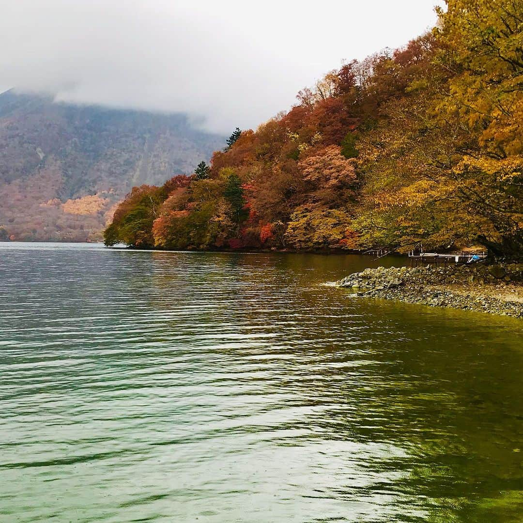 TOBU RAILWAY（東武鉄道）さんのインスタグラム写真 - (TOBU RAILWAY（東武鉄道）Instagram)「. . 📍Nikko – Italian Embassy Villa Memorial Park Time flows by in a relaxing way at this famous Nikko spot! . The Italian Embassy Villa Memorial Park is a park located in Nikko City in Tochigi Prefecture. Here you can experience the rich nature of Lake Chuzenji and the park’s history as an international summer resort.  The park features a building that recreates the villa of the Italian Embassy, which visitors can enter. The principal residence is also a highlight and has faithful recreations of the antique-style furniture that was likely used by the ambassadors.  The view of the Lake Chuzenji scenery from the large window in the principal residence is also amazing! It is open until November 30 of this year, so drop by and visit this season, the best time to see fall leaves! 📸by kiffy0204 Thank you ! . . . . Please comment "💛" if you impressed from this post. Also saving posts is very convenient when you look again :) . . #visituslater #stayinspired #nexttripdestination . . #nikko #italianembassyvillamemorialpark #autumnleaves #placetovisit #recommend #japantrip #travelgram #tobujapantrip #unknownjapan #jp_gallery #visitjapan #japan_of_insta #art_of_japan #instatravel #japan #instagood #travel_japan #exoloretheworld #ig_japan #explorejapan #travelinjapan #beautifuldestinations #toburailway #japan_vacations」11月8日 18時00分 - tobu_japan_trip