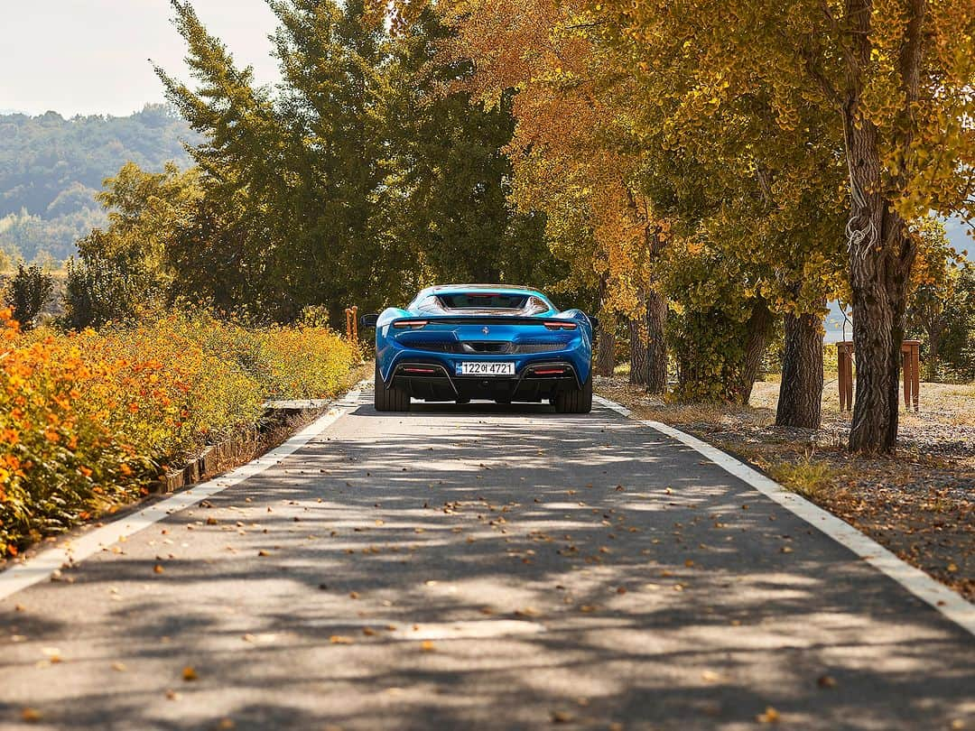 Ferrari APACさんのインスタグラム写真 - (Ferrari APACInstagram)「Enjoy the peak of a deep and abundant autumn as you wind down the roof of the #Ferrari296GTS.  #DrivingFerrari #Ferrari #FerrariAPAC #Korea」11月8日 18時00分 - ferrariapac