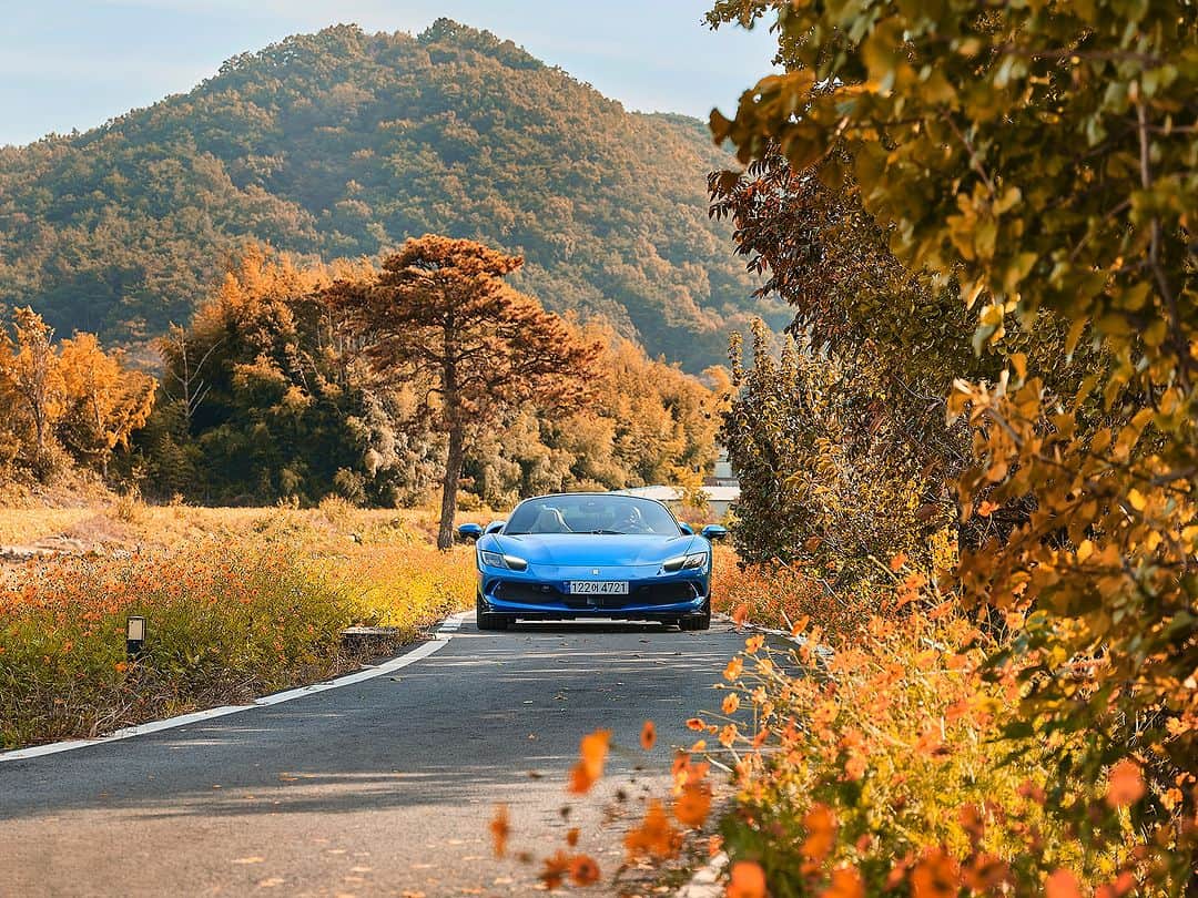 Ferrari APACのインスタグラム：「Enjoy the peak of a deep and abundant autumn as you wind down the roof of the #Ferrari296GTS.  #DrivingFerrari #Ferrari #FerrariAPAC #Korea」