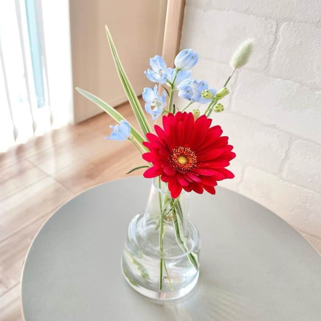 Bloomee LIFEのインスタグラム：「. 赤いお花 5選🌹   愛情や感謝、情熱を連想させる #赤いお花   お部屋に飾ると情熱的なパワーを与えてくれます✨  赤いお花が届いたら📪 元気なエネルギーをもらってくださいね！  ーーーーーーーーーーーーーーーー  お花が届いたら『 #ブルーミー 』 をつけて投稿してみてください📸  ほかの投稿は @bloomee でチェック👀🌹  #bloomee #お花の定期便 #お花のサブスク #花部 #花写真 #花を楽しむ #花が好き #花好きな人と繋がりたい  #お花のある暮らし #花のある生活 #花のある生活が好き #花を飾る  #暮らしを楽しむ #丁寧な暮らし #豊かな暮らし #インテリアフラワー #フラワーインテリア #ナチュラルインテリア #赤い花 #赤の花束 #赤の花が好き #赤ブーケ #レッドブーケ」