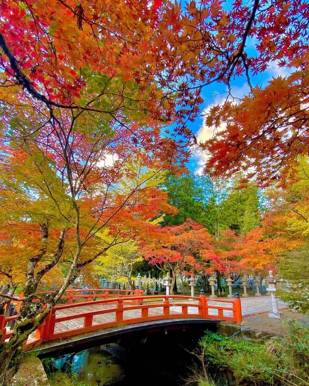 Visit Wakayamaのインスタグラム：「. Was the red bridge inspired by the vivid fall foliage at Okuno-in? Autumn brings a rich tapestry of colors to the sacred temples of Koyasan. 📸 @kyoto_fan_jp 📍 Okuno-in, Wakayama . . . . . #discoverjapan #unknownjapan #instajapan #landscape #japan #japantrip #japantravel #beautifuldestinations #wakayama #wakayamagram #explore #adventure #visitwakayama #travelsoon #visitjapan #stayadventurous #igpassport #explorejapan #lonelyplanet #sustainabletourism #autumntravel #worldheritage #koyasan #autumninjapan #okunoin #spiritualjourney #fallfoliage #templestay #fallcolors #japanesetemples」