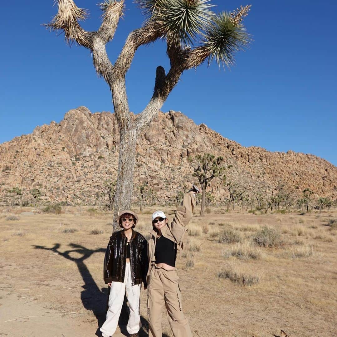 古畑星夏さんのインスタグラム写真 - (古畑星夏Instagram)「⠀ #joshuatree   LAの国立公園🌿  都心から車で2時間?ぐらいかかるけど、  見た事ない景色で来た甲斐ありすぎたぁ🥹✨✨✨  LAでの運転も慣れたしまたここは絶対に行きたいスポット🫶  #la#ジョシュアツリー#ootd」11月8日 18時06分 - starandsummer