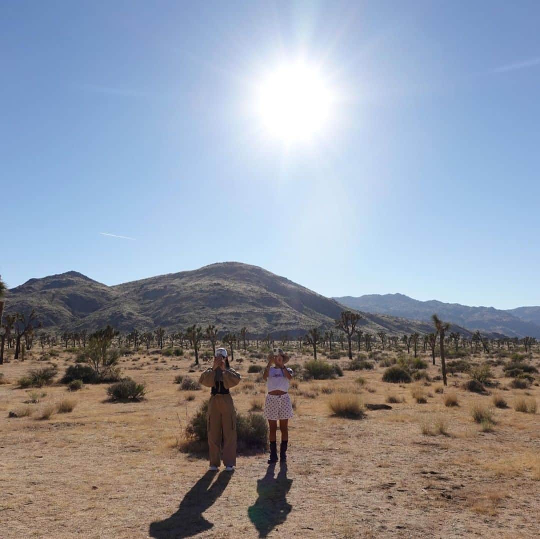 古畑星夏さんのインスタグラム写真 - (古畑星夏Instagram)「⠀ #joshuatree   LAの国立公園🌿  都心から車で2時間?ぐらいかかるけど、  見た事ない景色で来た甲斐ありすぎたぁ🥹✨✨✨  LAでの運転も慣れたしまたここは絶対に行きたいスポット🫶  #la#ジョシュアツリー#ootd」11月8日 18時06分 - starandsummer