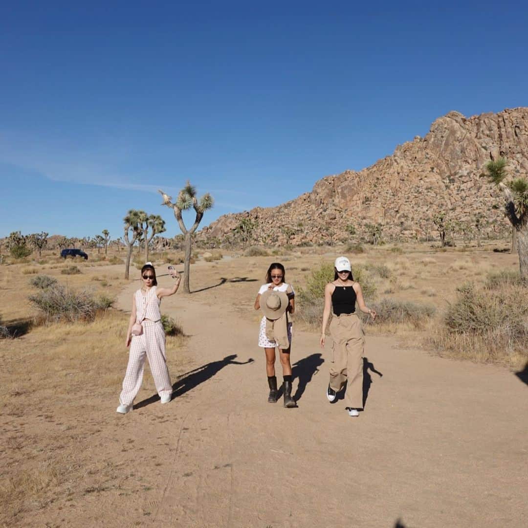 古畑星夏さんのインスタグラム写真 - (古畑星夏Instagram)「⠀ #joshuatree   LAの国立公園🌿  都心から車で2時間?ぐらいかかるけど、  見た事ない景色で来た甲斐ありすぎたぁ🥹✨✨✨  LAでの運転も慣れたしまたここは絶対に行きたいスポット🫶  #la#ジョシュアツリー#ootd」11月8日 18時06分 - starandsummer