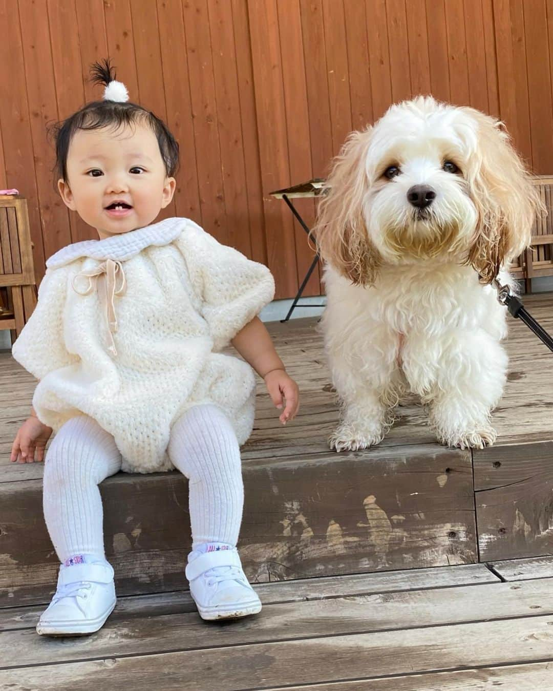 あんちゃんさんのインスタグラム写真 - (あんちゃんInstagram)「朝露でビシャビシャボフボフなオレ🐶 そしてその姿に驚くモチモチ👶🏻笑  先日のキャンプ２日目の朝は パパと早起きして ひと足先にお散歩楽しんだあんちゃん🐾  帰ってきてモチモチが目覚めたら お散歩に誘って 家族みんなでのんびりお散歩☺️🍃  ただ山の朝は朝露がすごくてね…  足元シナシナ お口ビシャビシャ 湿気で体はボッフボフ🐏  遠近法で巨大化してるようにみえるし モチモチの目線も 「え？あんちゃん…？？」みたいになってて なんとも愛らしい一枚が撮れました。笑  今回の旅行でも モフモチのツーショットが撮れて 母満足😤❤️  大切な思い出 今しかない瞬間 ちゃんと記憶にも記録にも 残していきたいですね🥰  #キャバションあんちゃん #モフモフとモチモチ  #あんちゃん　#ぬいぐるみ犬 #スヌーピー  #スヌーピー犬 #キャバション　#キャバビション　 #キャバリア #キャバリアキングチャールズスパニエル #ビションフリーゼ　 #犬  #いぬすたぐらむ #犬のいる暮らし  #わんこなしでは生きていけません会 #いぬのきもち  #犬好きな人と繋がりたい #短足部　#比熊犬 #doglove #cavachon #inustagram #puppy  #snoopy #andy #멍스타그램 #개스타그램　#댕스마스」11月8日 18時07分 - anchan_0115_andy