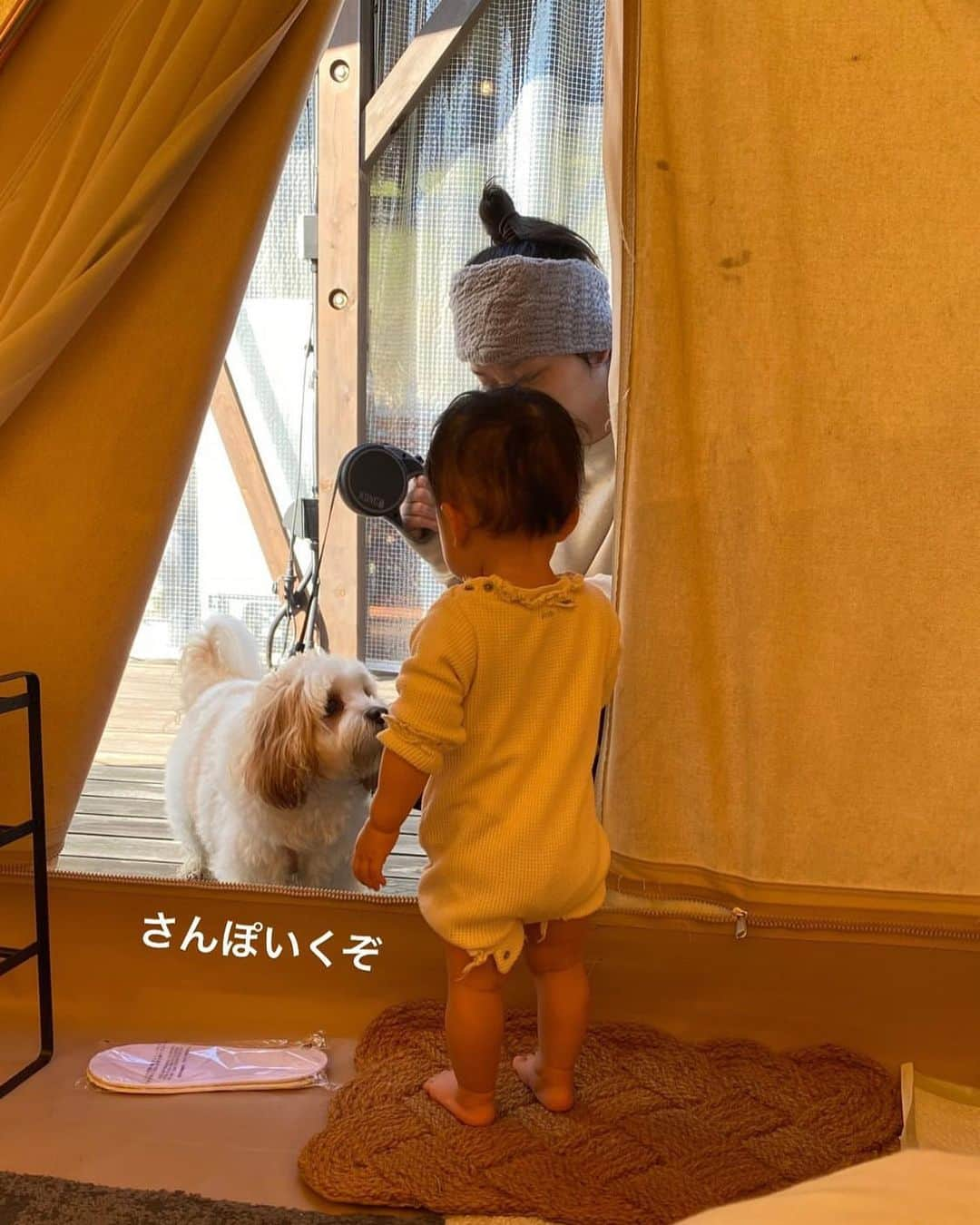 あんちゃんさんのインスタグラム写真 - (あんちゃんInstagram)「朝露でビシャビシャボフボフなオレ🐶 そしてその姿に驚くモチモチ👶🏻笑  先日のキャンプ２日目の朝は パパと早起きして ひと足先にお散歩楽しんだあんちゃん🐾  帰ってきてモチモチが目覚めたら お散歩に誘って 家族みんなでのんびりお散歩☺️🍃  ただ山の朝は朝露がすごくてね…  足元シナシナ お口ビシャビシャ 湿気で体はボッフボフ🐏  遠近法で巨大化してるようにみえるし モチモチの目線も 「え？あんちゃん…？？」みたいになってて なんとも愛らしい一枚が撮れました。笑  今回の旅行でも モフモチのツーショットが撮れて 母満足😤❤️  大切な思い出 今しかない瞬間 ちゃんと記憶にも記録にも 残していきたいですね🥰  #キャバションあんちゃん #モフモフとモチモチ  #あんちゃん　#ぬいぐるみ犬 #スヌーピー  #スヌーピー犬 #キャバション　#キャバビション　 #キャバリア #キャバリアキングチャールズスパニエル #ビションフリーゼ　 #犬  #いぬすたぐらむ #犬のいる暮らし  #わんこなしでは生きていけません会 #いぬのきもち  #犬好きな人と繋がりたい #短足部　#比熊犬 #doglove #cavachon #inustagram #puppy  #snoopy #andy #멍스타그램 #개스타그램　#댕스마스」11月8日 18時07分 - anchan_0115_andy