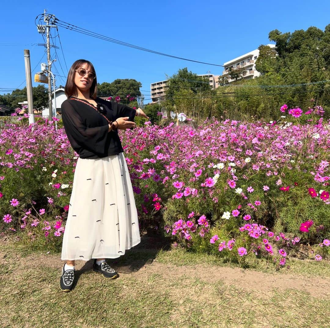 加藤未唯さんのインスタグラム写真 - (加藤未唯Instagram)「鹿児島総集編⛳️🍣🍜🌸🗻  1.9桜島をバックに2年ぶりのゴルフでやっとこさのパー4️⃣ 2.3開店前から並び、45分待った念願の美鶴の鰻は最高でした🤤🤍 4.5お寿司もいいけど、奥の銀杏が好み。ビールと合う合う🍻からのつけ麺 6.秋といえばコスモス～かわいかった💕 7.食べ飲み温泉に癒された😌 8. @l4k3style_japan の旅行バック👜  #鹿児島 #桜島 #温泉 #美鶴 #癒し」11月8日 18時22分 - miyukato1121