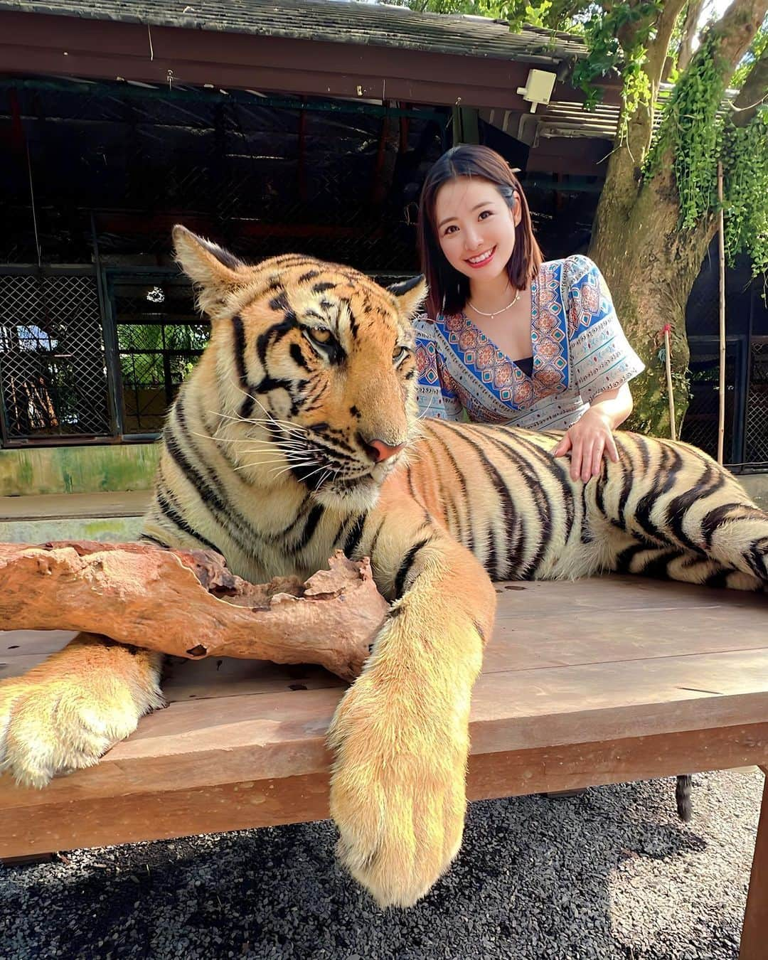 江頭ひなたのインスタグラム：「Tiger🐅💕 にゃんこみたいで可愛かった💕 全然怖くなかった💕 めちゃくちゃ服臭くなったから、みんな気を付けてw  Travel with @minami_matsunaka    #タイガーキングダム #tiger #トラ #phuket #プーケット #ภูเก็ต #thai #thailand #thailandtravel #travel #trip #タイ旅行 #海外旅行 #タイ」