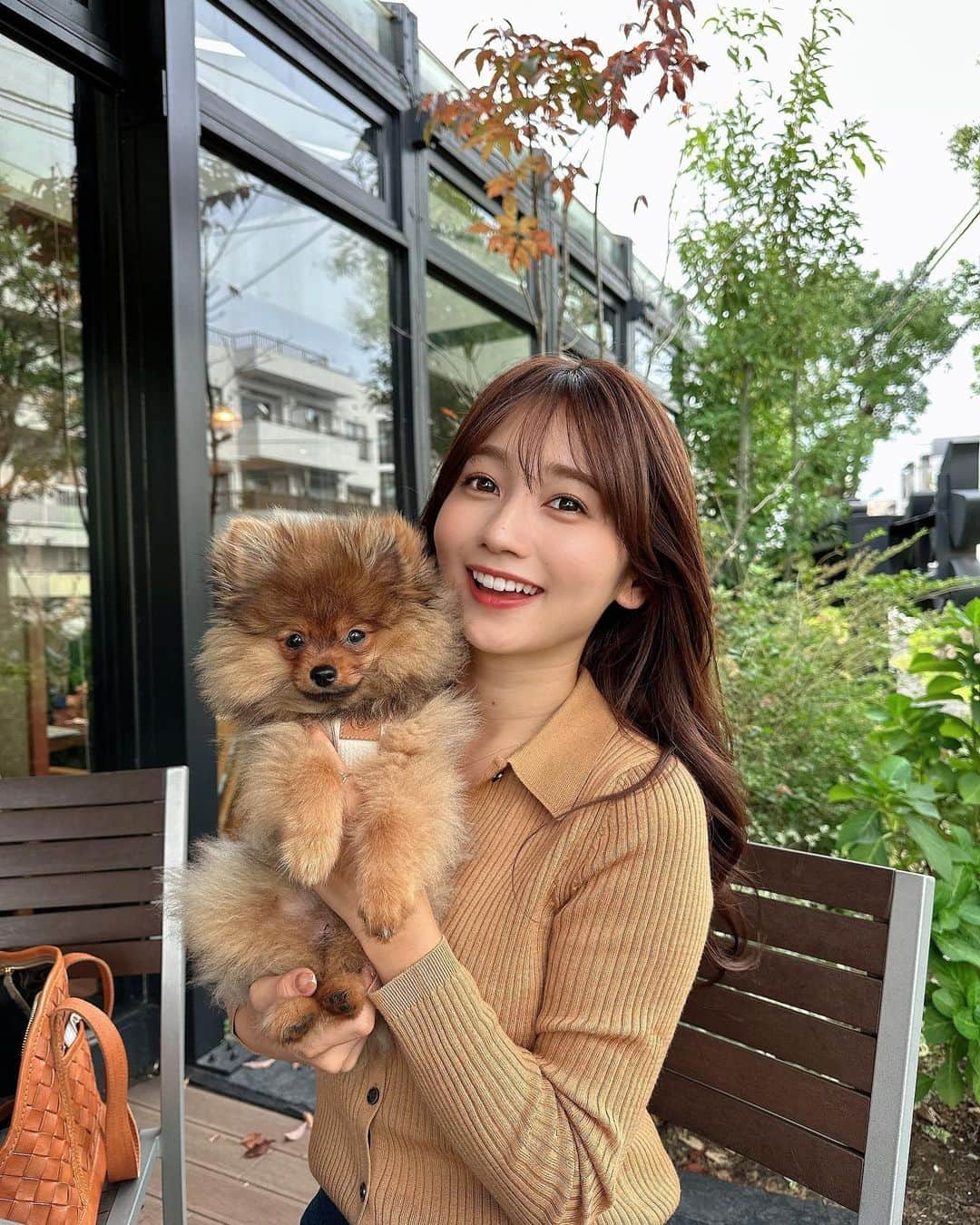 細沼紗花さんのインスタグラム写真 - (細沼紗花Instagram)「.  4ヶ月ぽめっ🐕  お迎えした時から比べると日に日に大きくなってて 毎日がとっても愛おしい、、♡  飼い主にべったり甘えん坊なわんころです🐶  . #ポメ#ポメラニアン #ぽめすたぐらむ」11月8日 18時31分 - sayaka_hosonuma